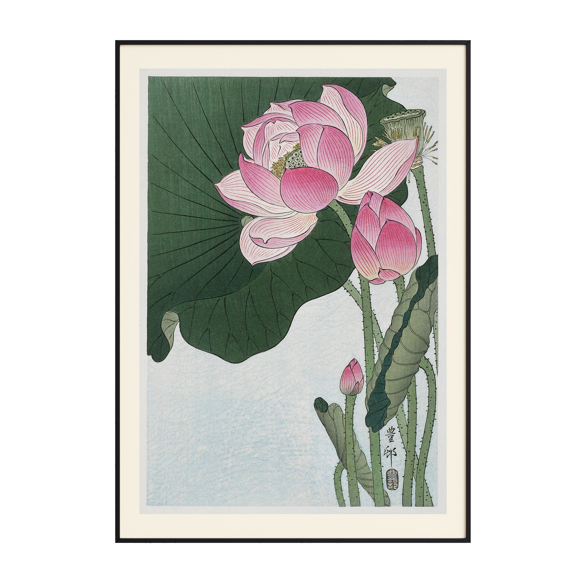 Ohara Koson - Blooming Lotus Flowers