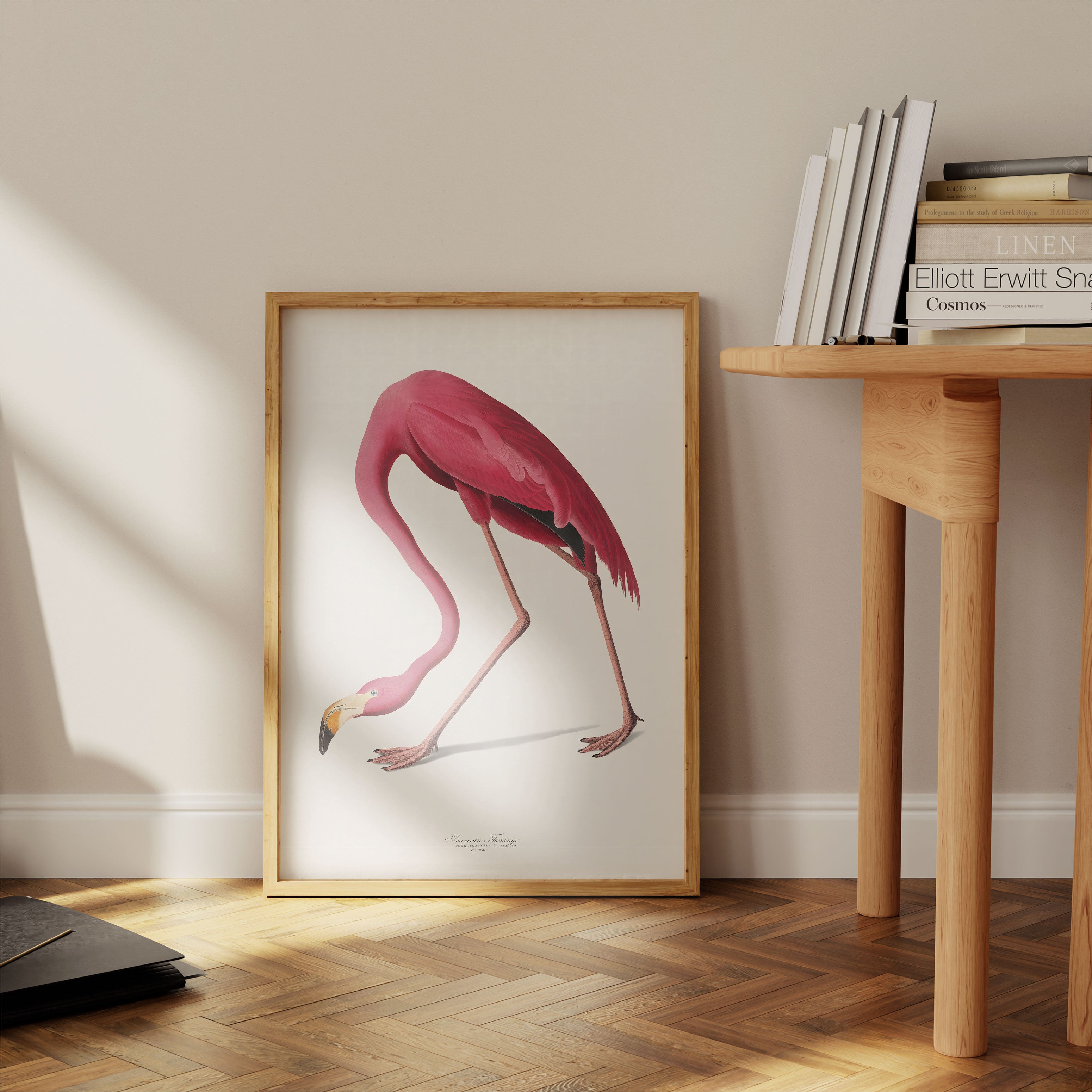 Audubon - Pink Flamingo from Birds of America Poster