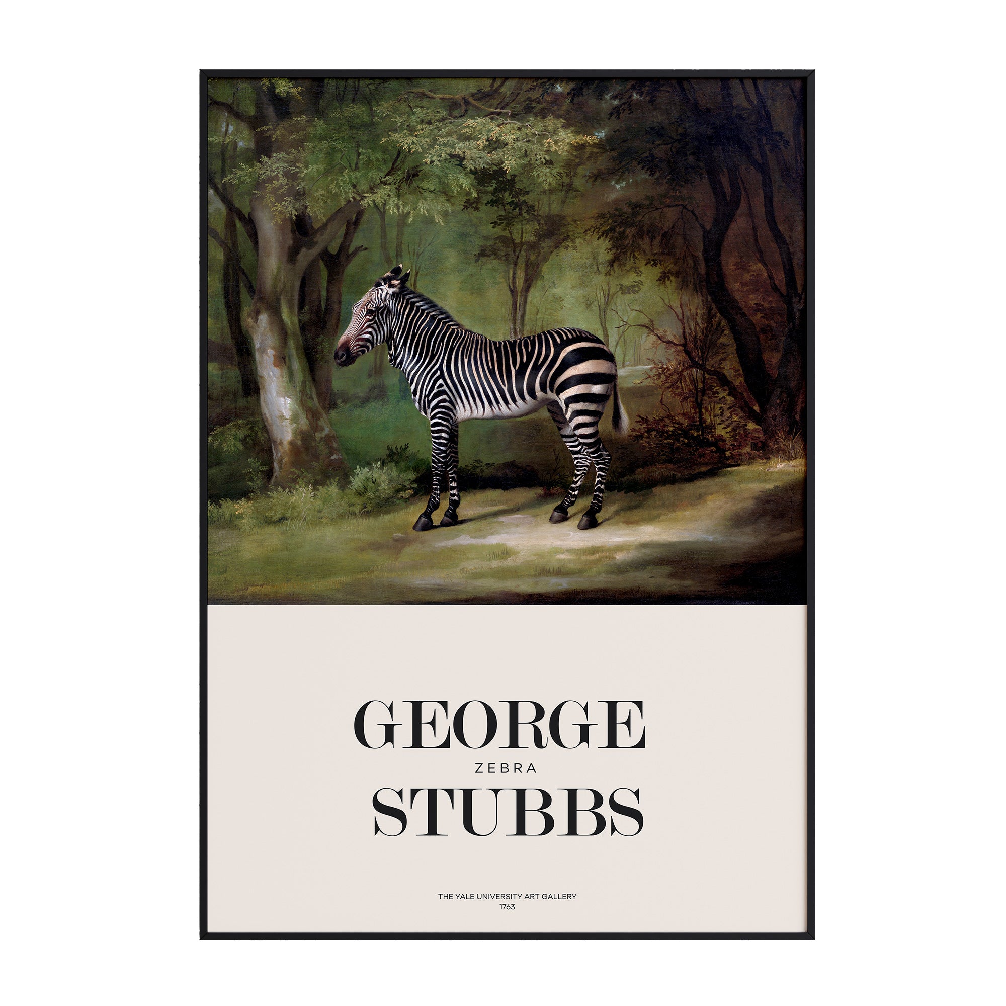 George Stubbs - Zebra